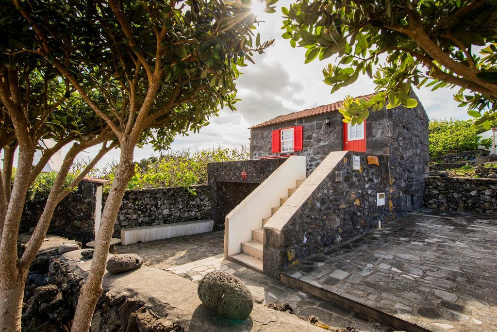 Adega Velha Villa Calheta de Nesquim Exteriör bild