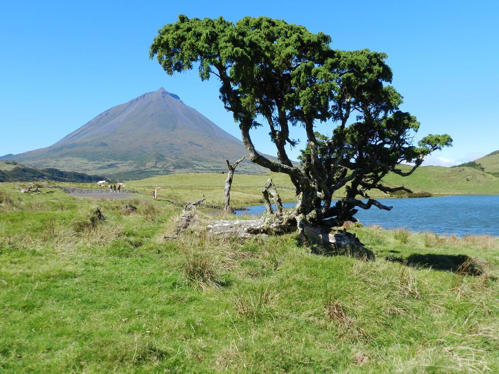 Adega Velha Villa Calheta de Nesquim Exteriör bild
